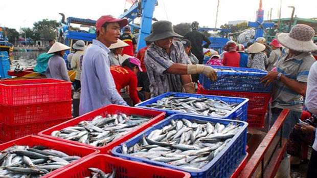 Báo động nguy cơ hải sản Việt bị phạt thẻ đỏ